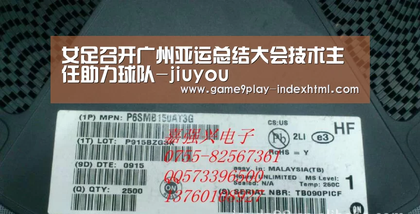女足召开广州亚运总结大会技术主任助力球队-jiuyou(图3) 九游游戏盒子