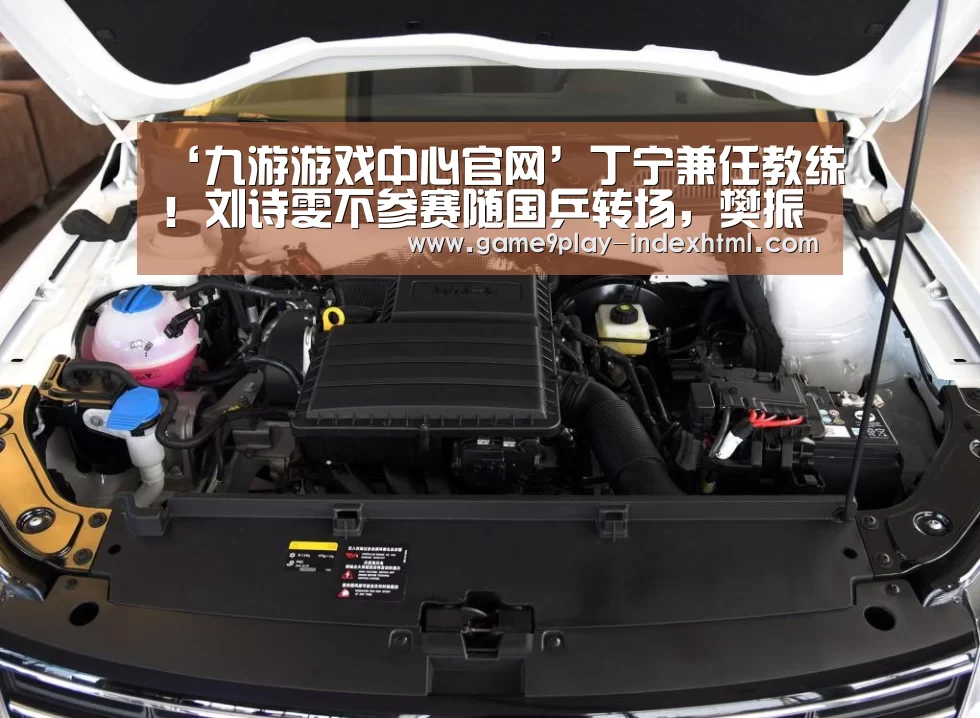 ‘九游游戏中心官网’丁宁兼任教练!刘诗雯不参赛随国乒转场,樊振东粉嫩马龙穿着鲜亮(图3) 九游游戏盒子