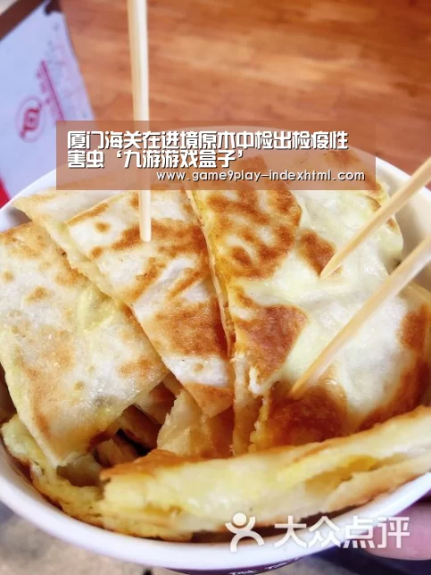 九游游戏平台官网