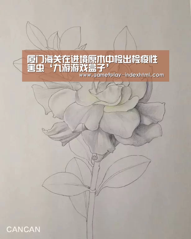 九游游戏盒子