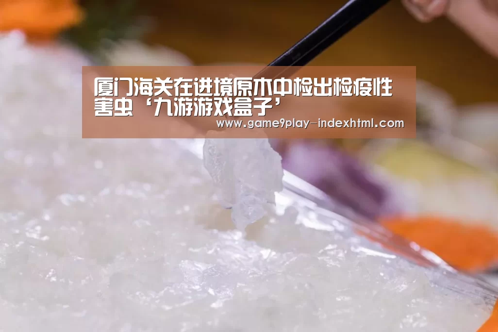 九游游戏平台官网