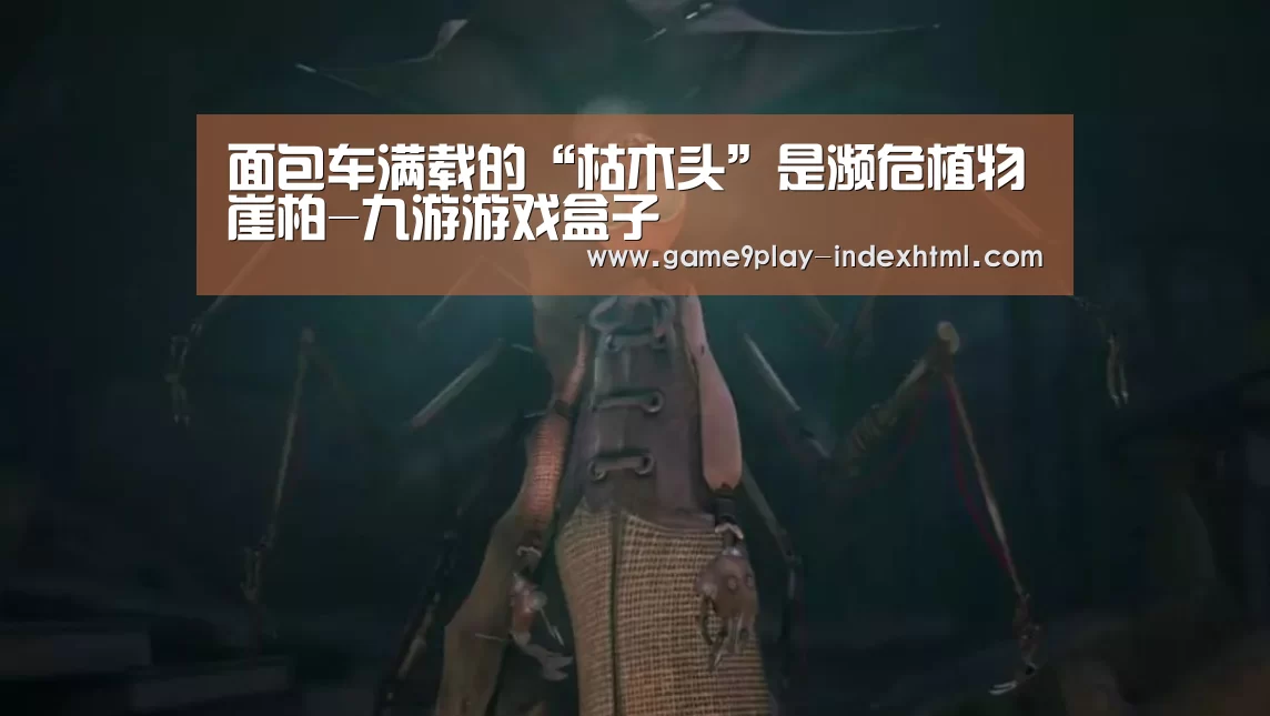 面包车满载的“枯木头”是濒危植物崖柏-九游游戏盒子(图1) 九游游戏平台官网