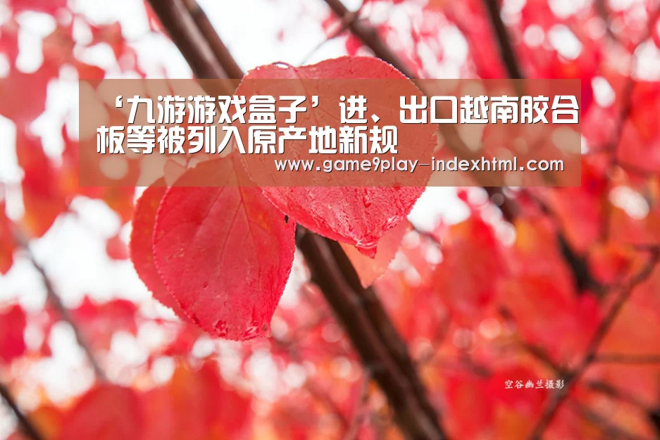 ‘九游游戏盒子’进、出口越南胶合板等被列入原产地新规(图1) 九游游戏盒子