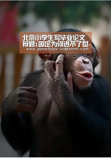 九游官网下载